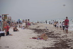 IMG 1259