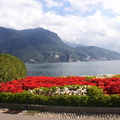 Lugano25