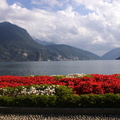 Lugano26